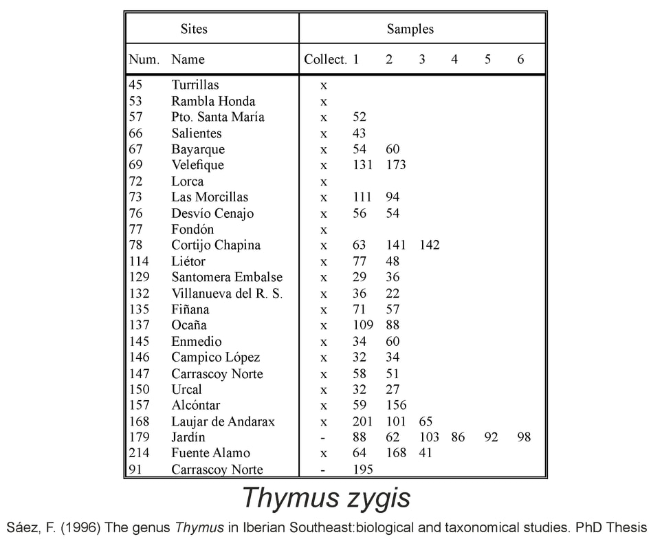 Thymus zygis